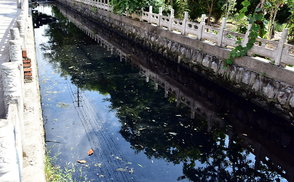 上海沉水丝瓜视频免费下载厂家哪家好